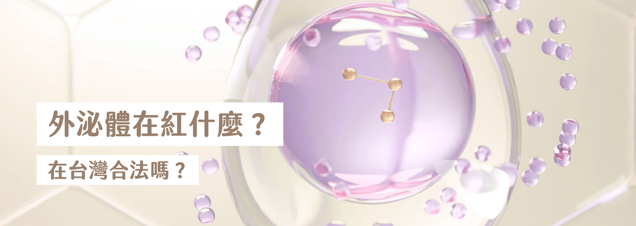 外泌體在紅什麼？在台灣合法嗎？